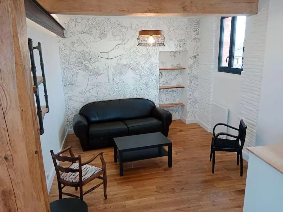 Maison De Village Climatisee Tout Confort Grisolles  Frankreich